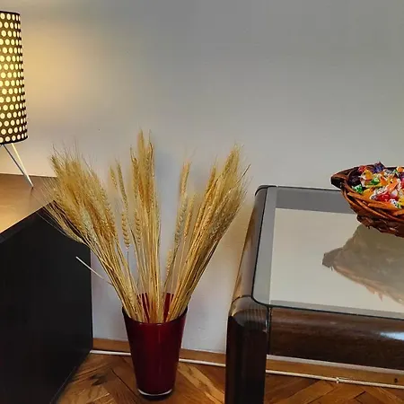 Apartman Nestor